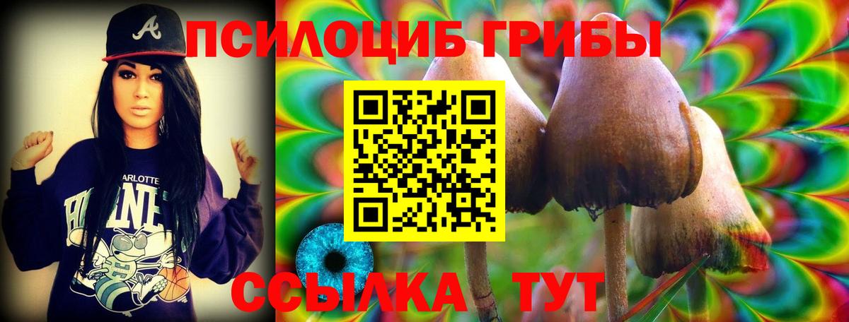 Псилоцибиновые грибы прущие грибы Благодарный