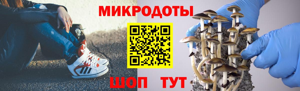 Галлюциногенные грибы мицелий  Вход с VPN  Галлюциногенные грибы прущие грибы  Благодарный 